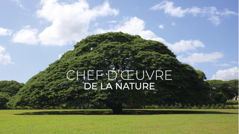 Table de repas UNIQUE | Table résine et bois massif