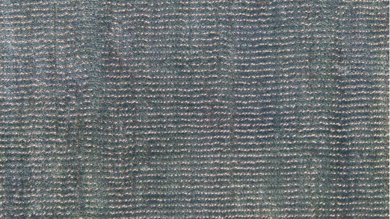 Tapis BRIO | Subtils effets de texture