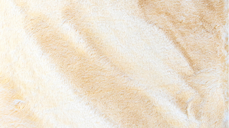 Tapis doux et chaleureux, texture confortable, Megeve