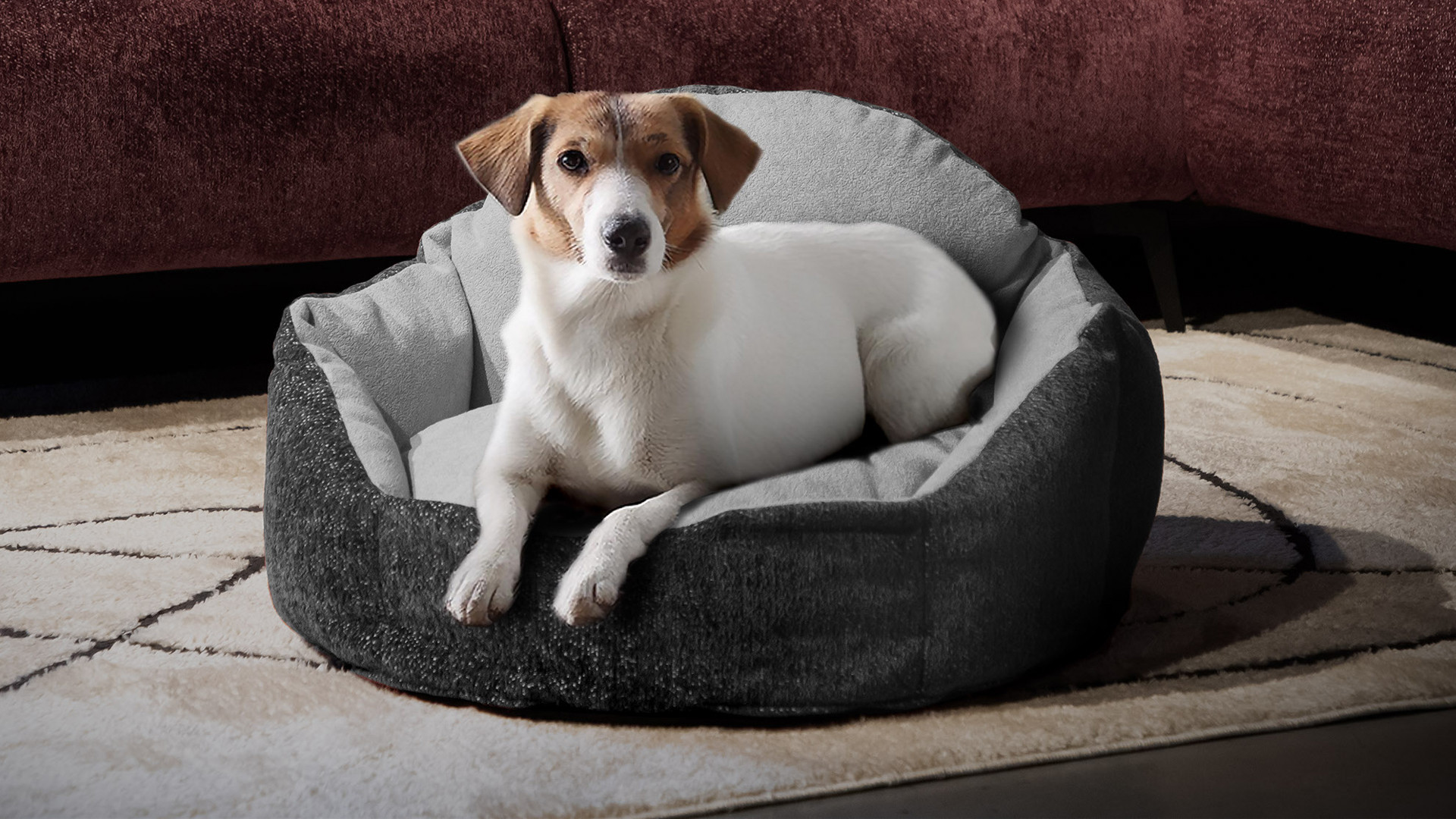 Panier pour chien MICKEY | Nid douillet en tissu bouclette beige